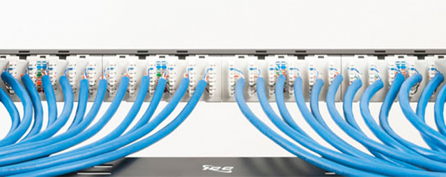 CAT6A 110 patch panel, back of panel angled straight on